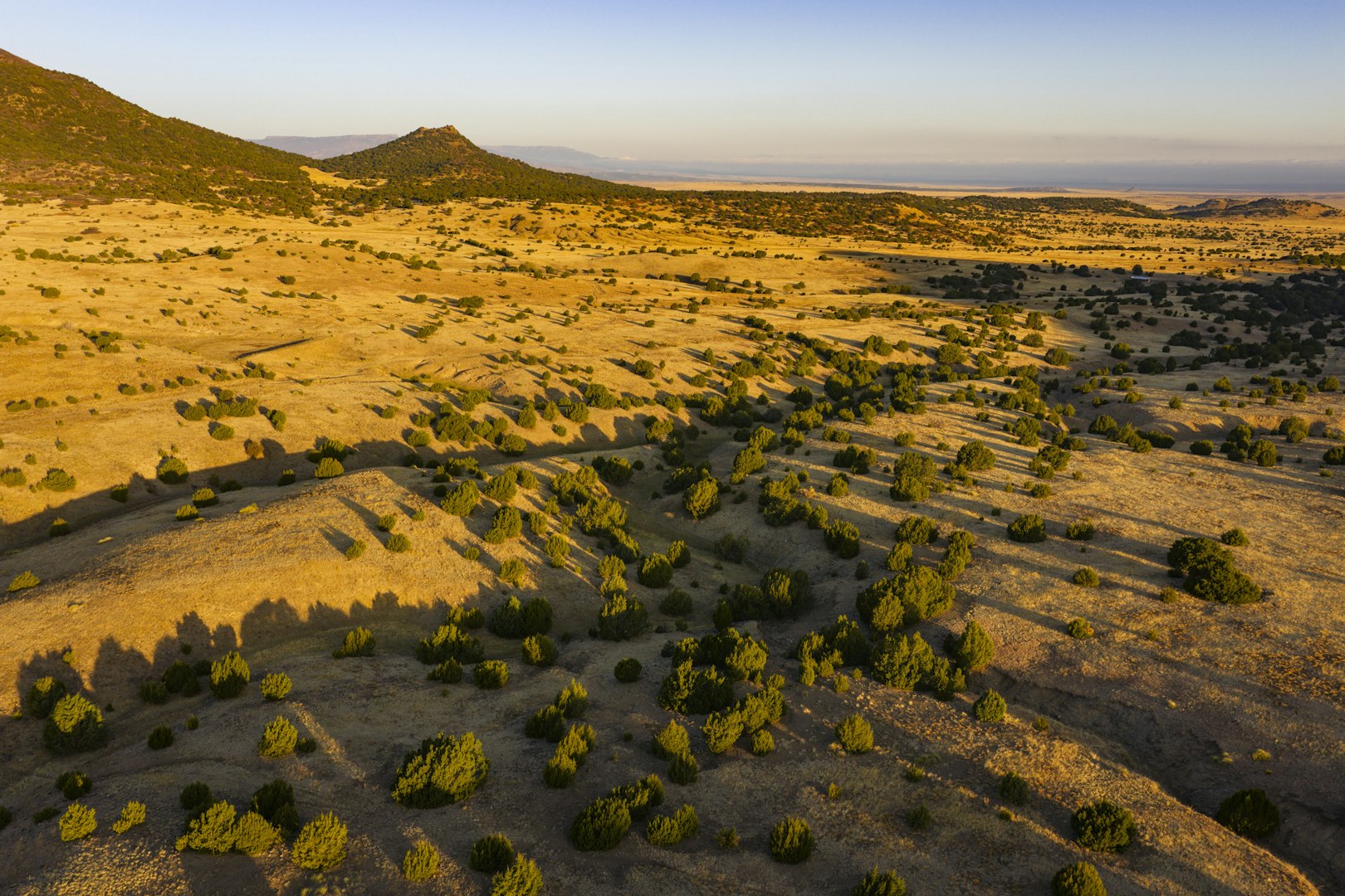 0000 Tbd Folsom NM 88419