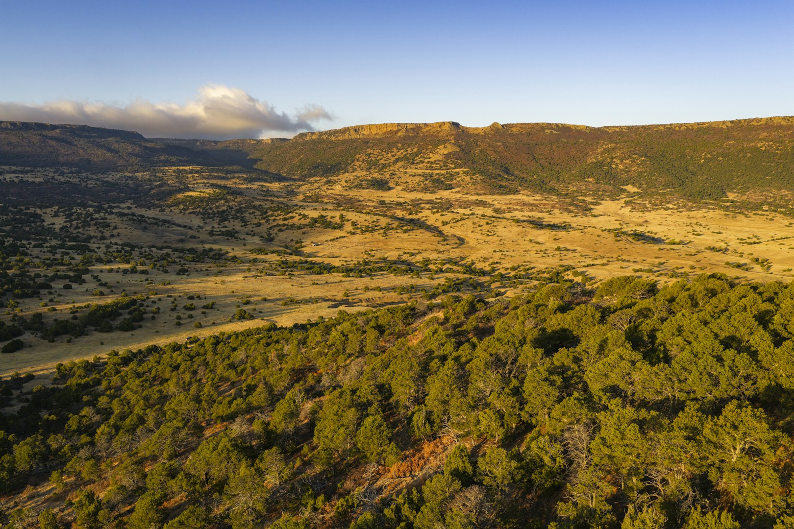 0000 Tbd Folsom NM 88419