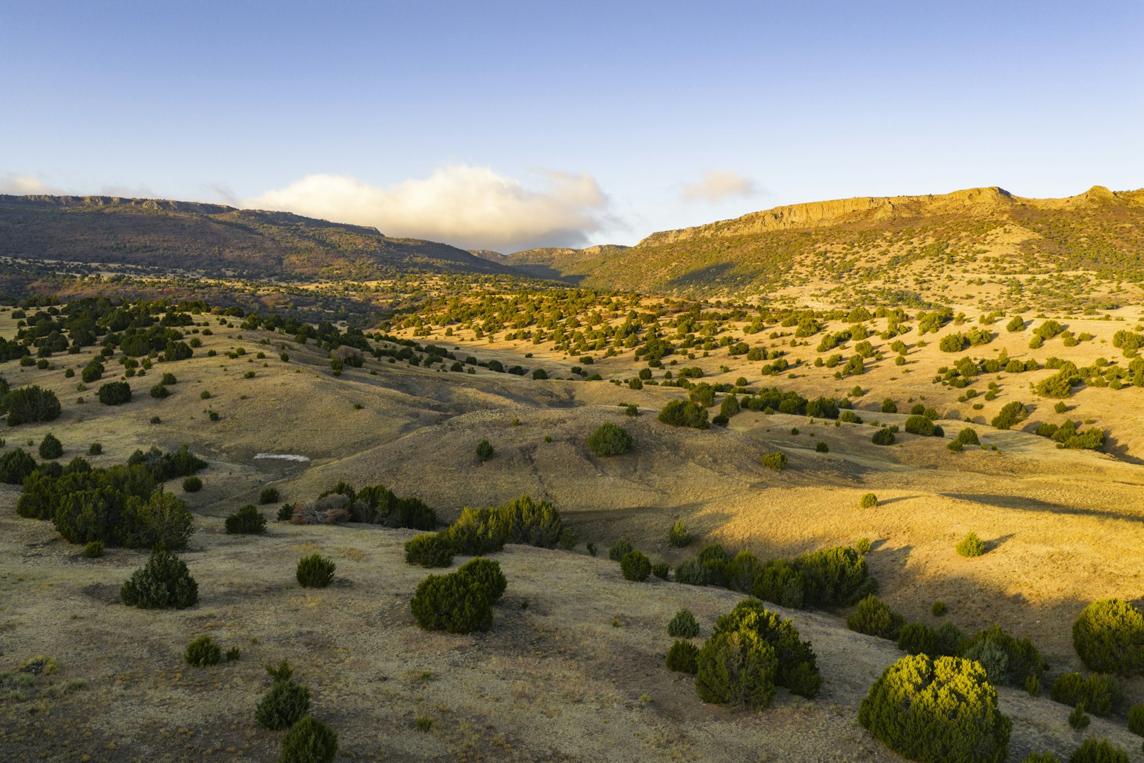 0000 Tbd Folsom NM 88419