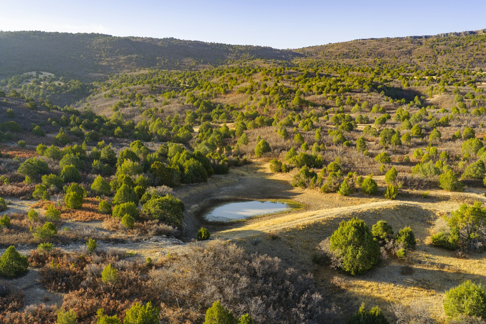0000 Tbd Folsom NM 88419