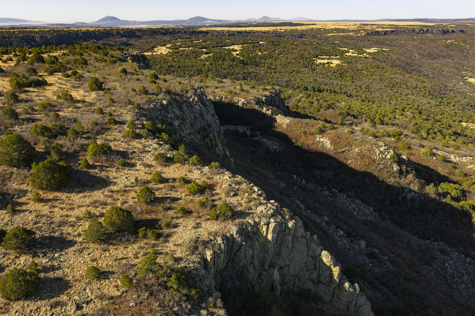 0000 Tbd Folsom NM 88419