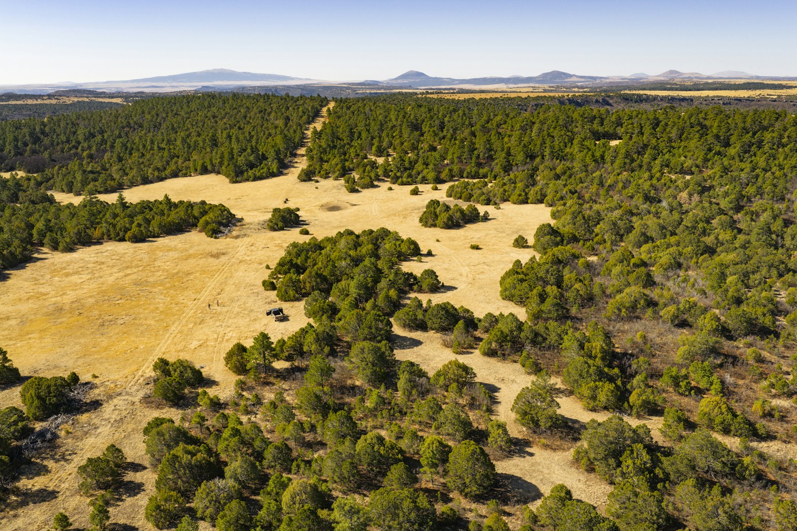 0000 Tbd Folsom NM 88419