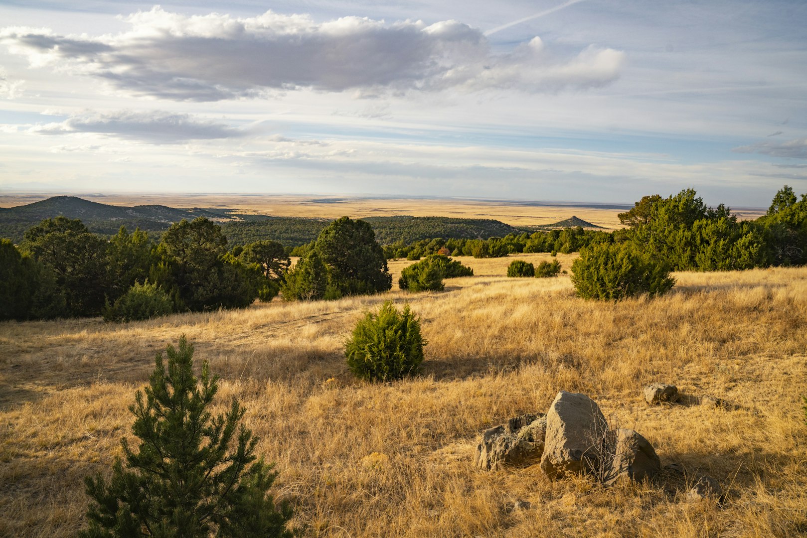 0000 Tbd Folsom NM 88419