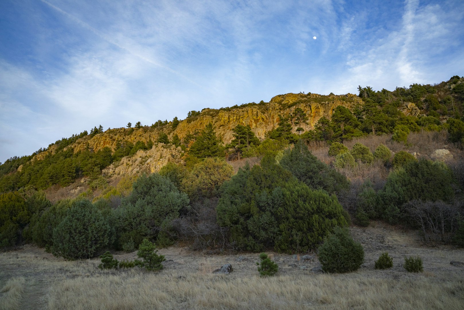 0000 Tbd Folsom NM 88419