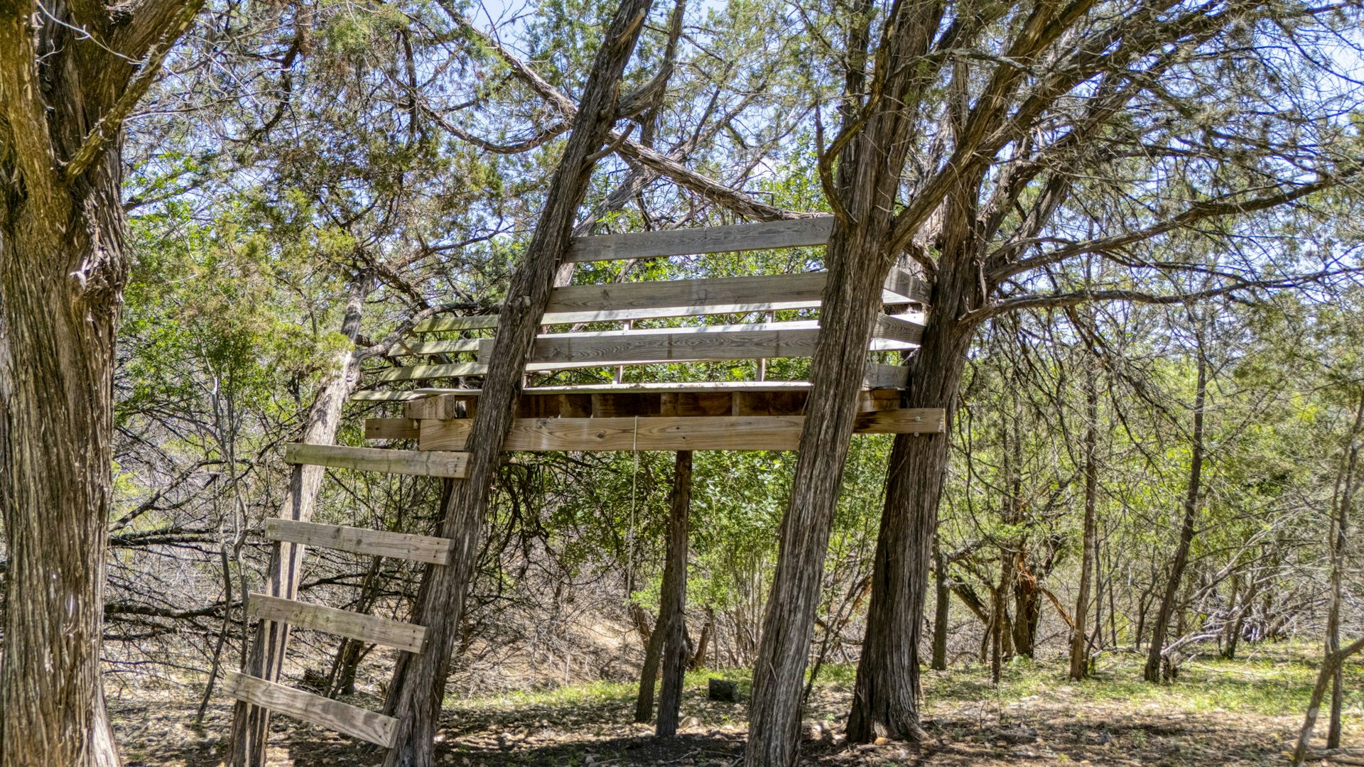 13132 Texas Highway 16 Medina TX 78055