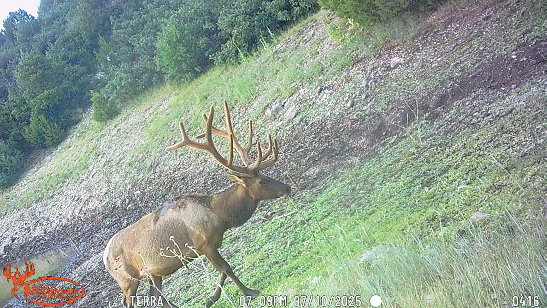 0000 Tbd Folsom NM 88419