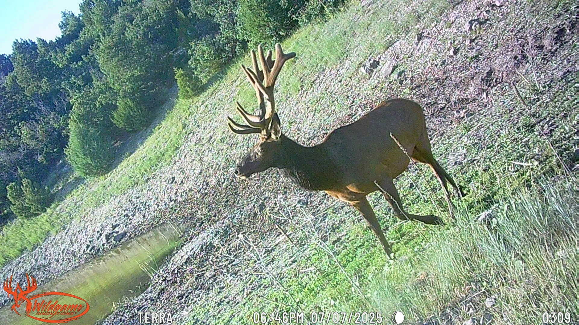 0000 Tbd Folsom NM 88419