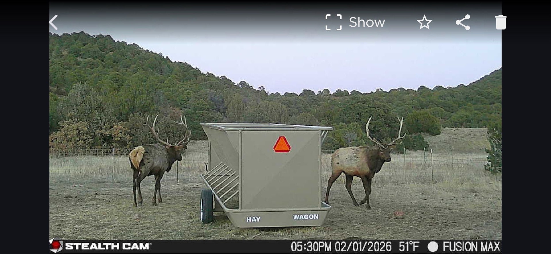 0000 Tbd Folsom NM 88419