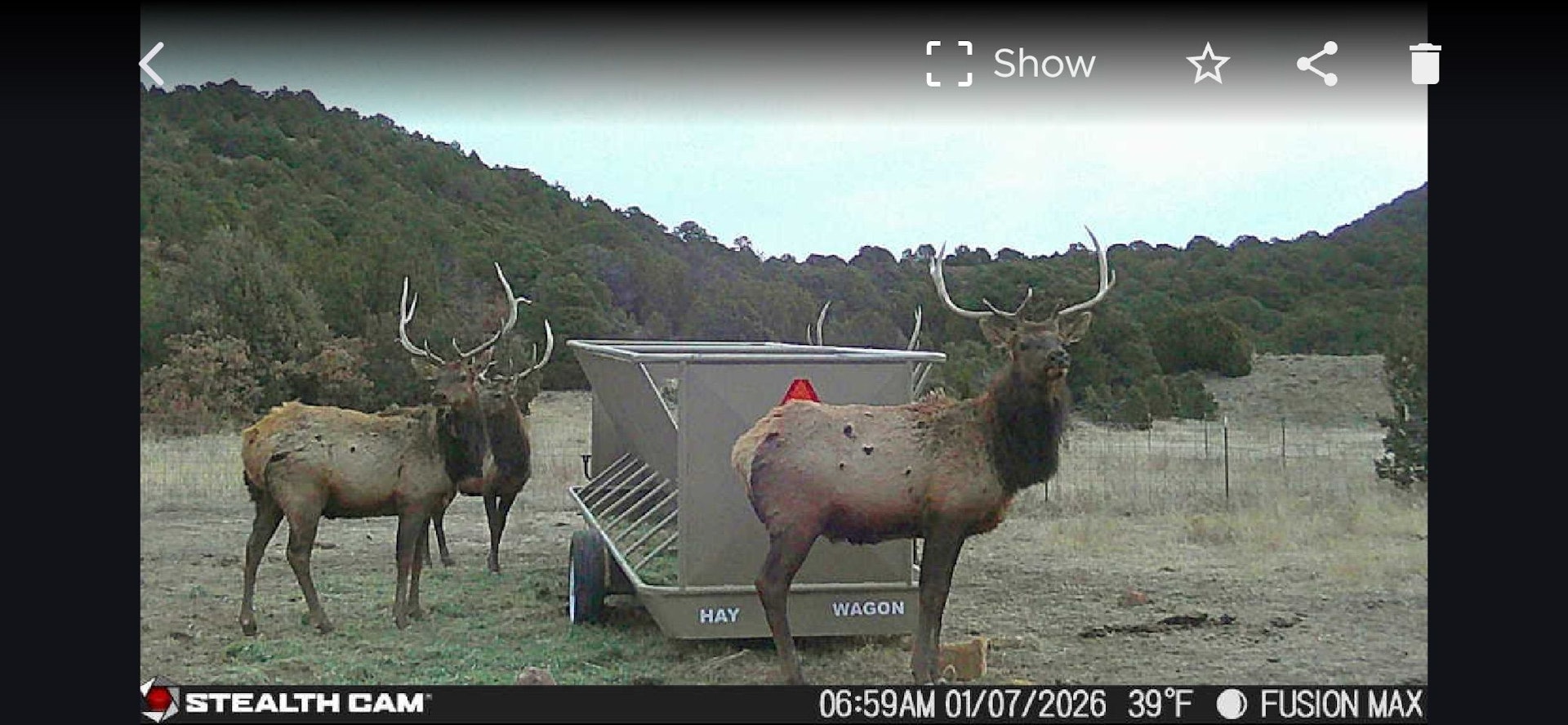 0000 Tbd Folsom NM 88419