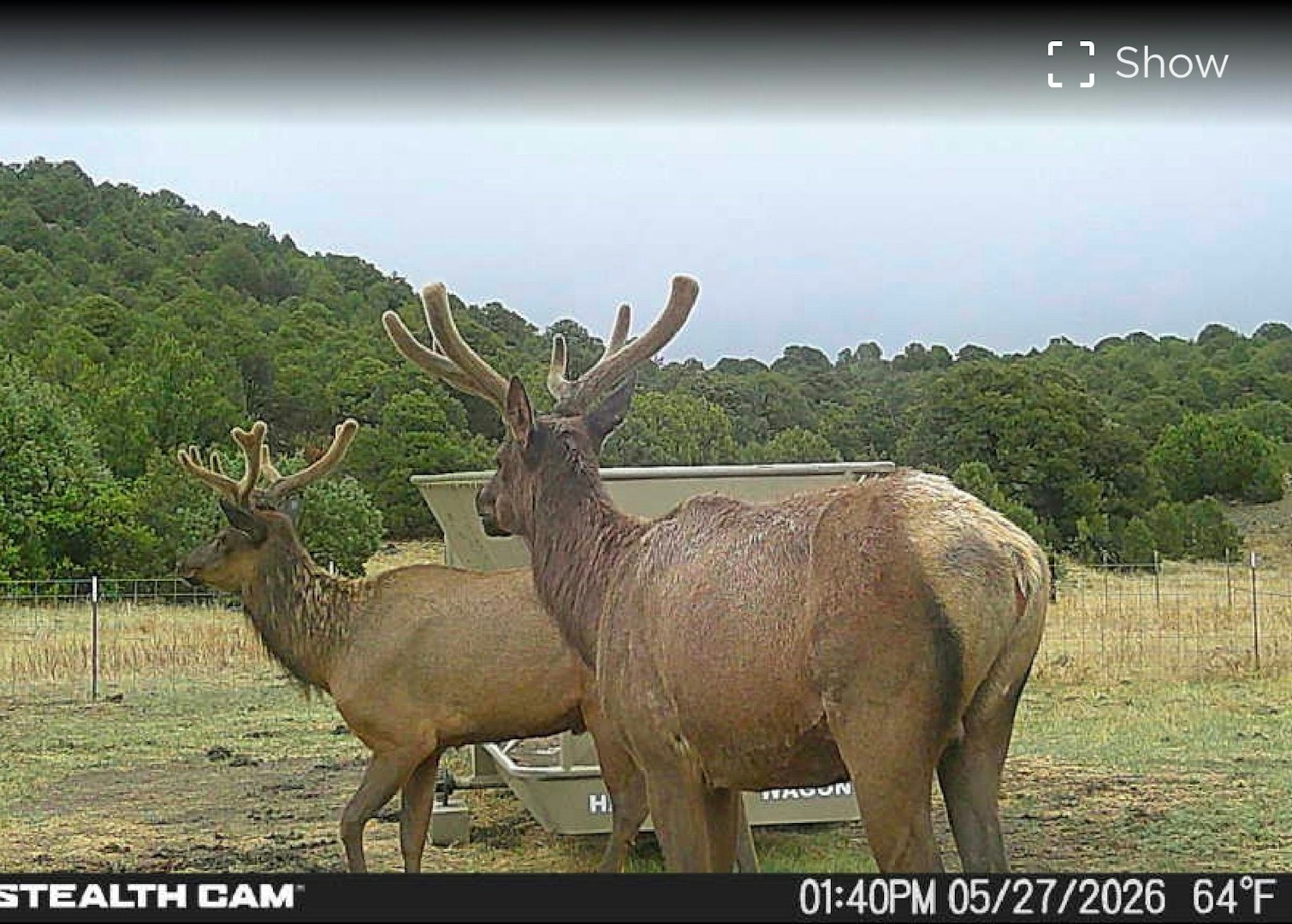 0000 Tbd Folsom NM 88419