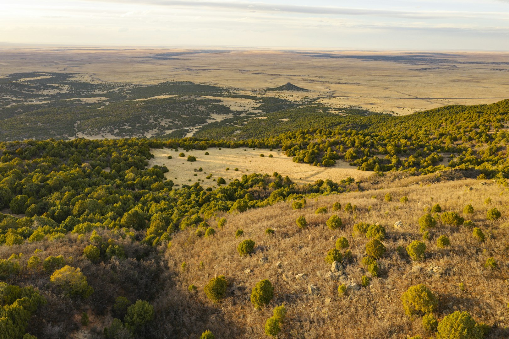 0000 Tbd Folsom NM 88419