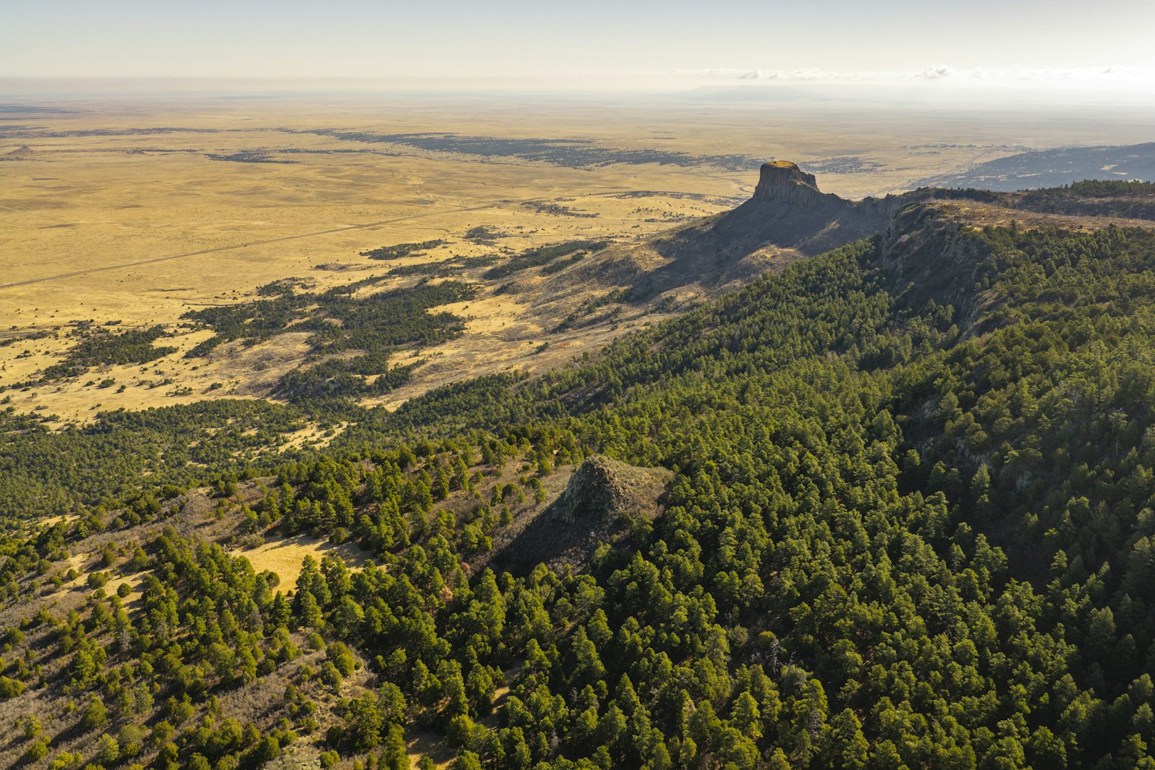 0000 Tbd Folsom NM 88419