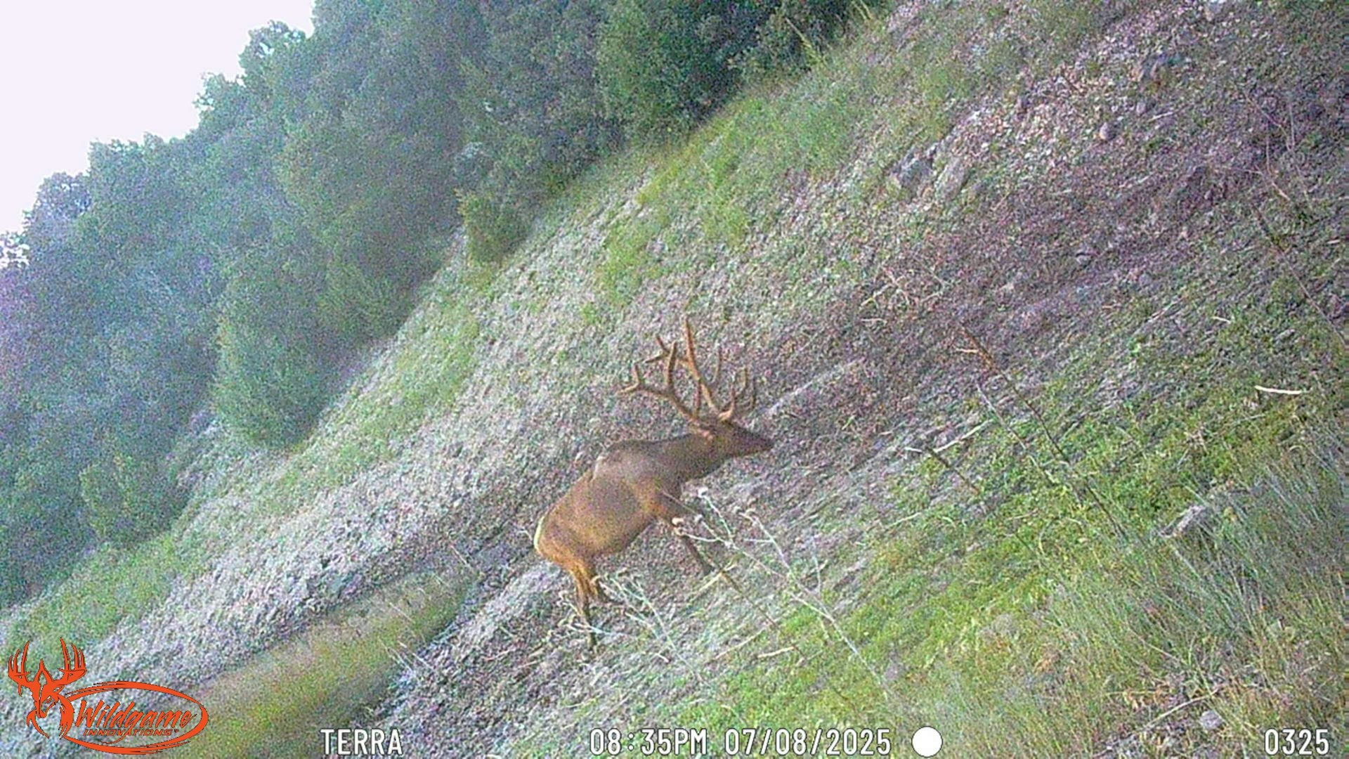 0000 Tbd Folsom NM 88419
