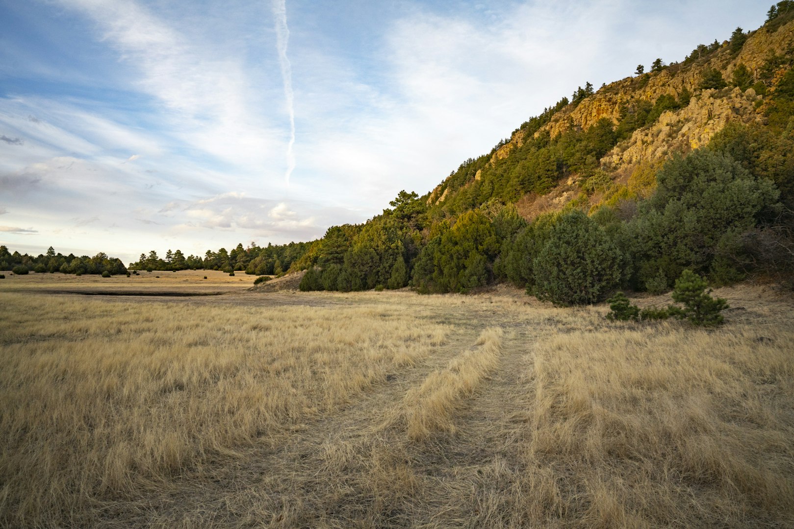 0000 Tbd Folsom NM 88419