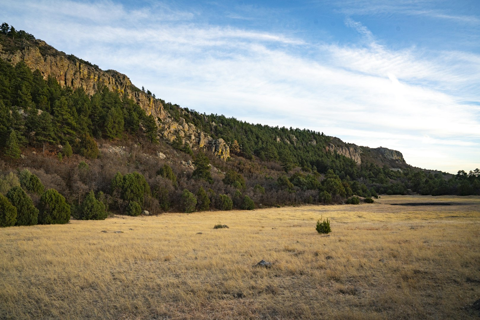 0000 Tbd Folsom NM 88419