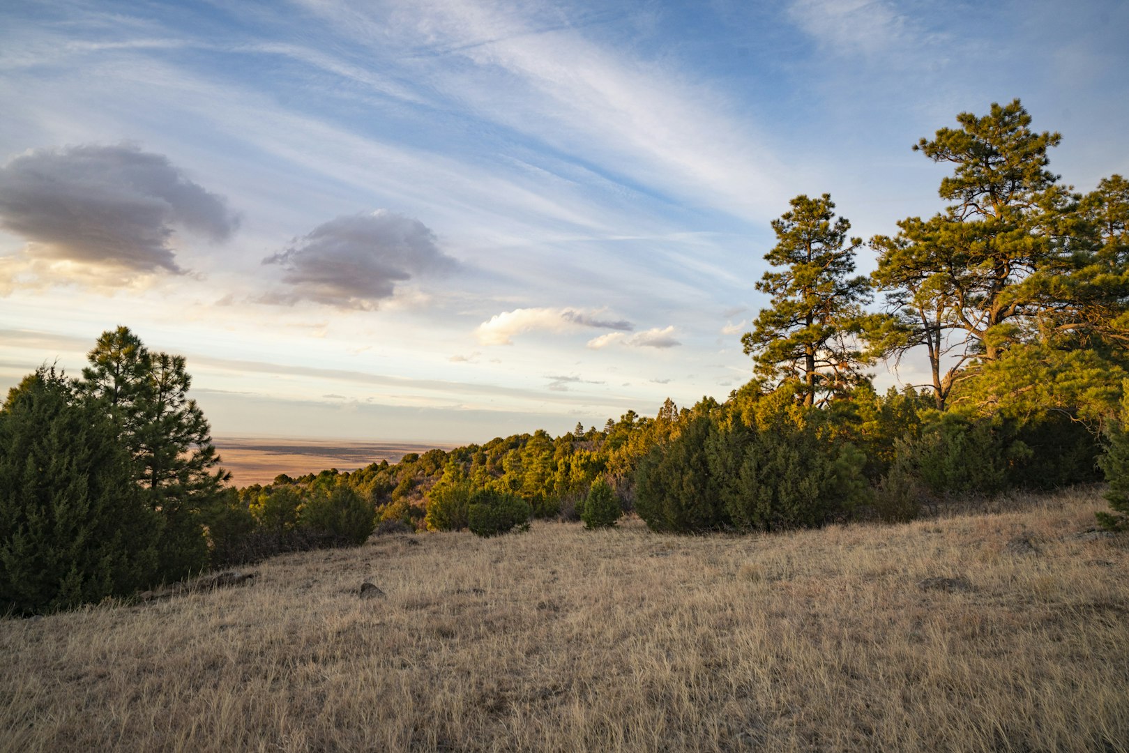 0000 Tbd Folsom NM 88419