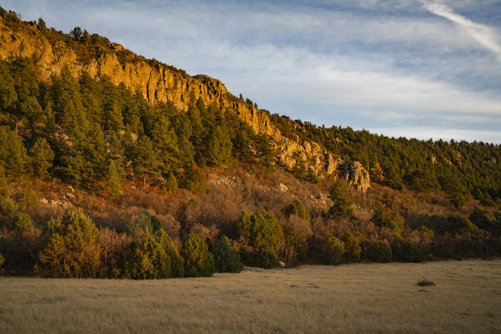 0000 Tbd Folsom NM 88419