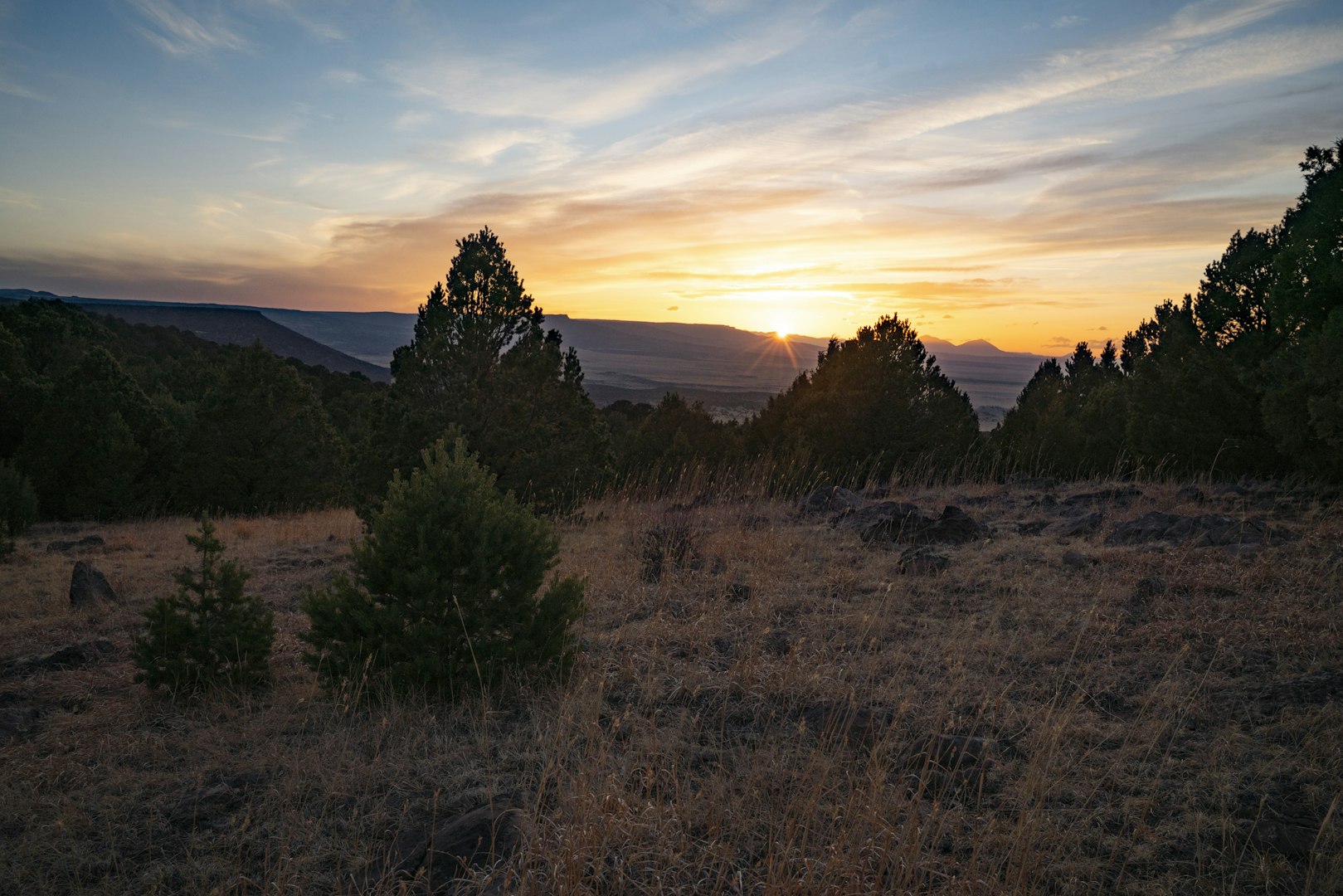 0000 Tbd Folsom NM 88419
