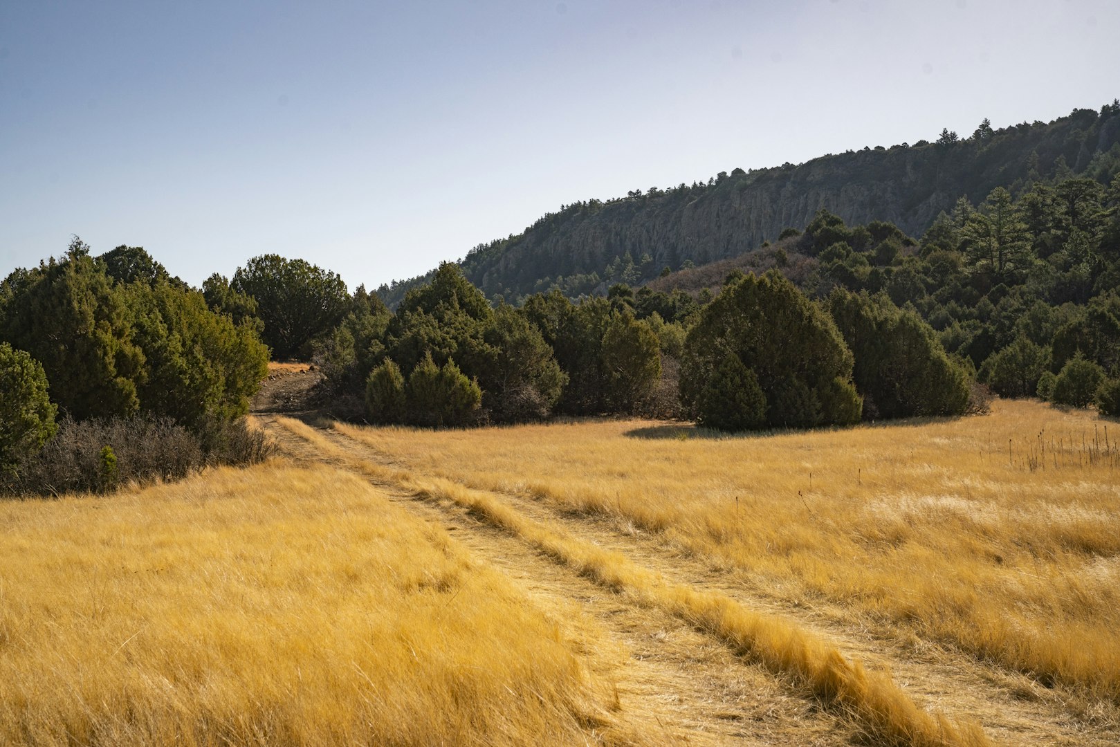 0000 Tbd Folsom NM 88419
