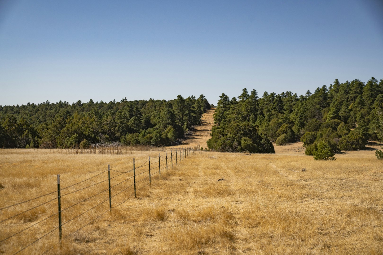 0000 Tbd Folsom NM 88419