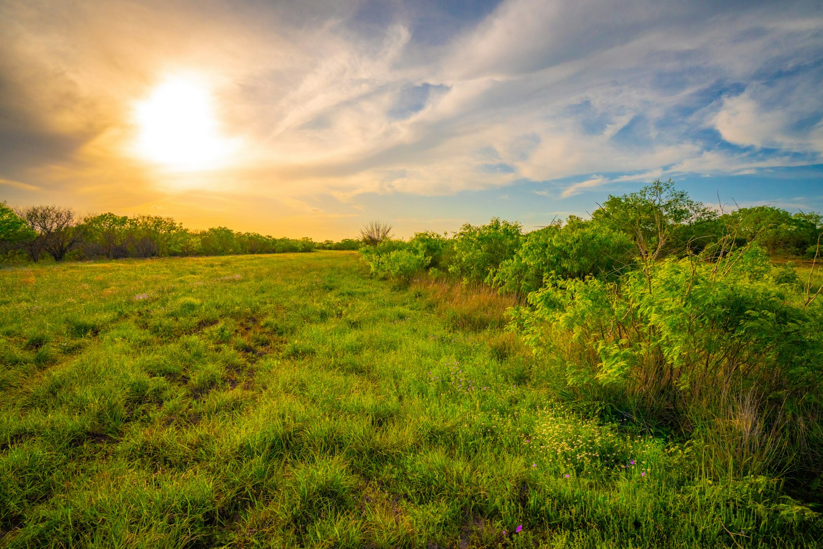 3305 Cr 129 Pawnee TX 78119