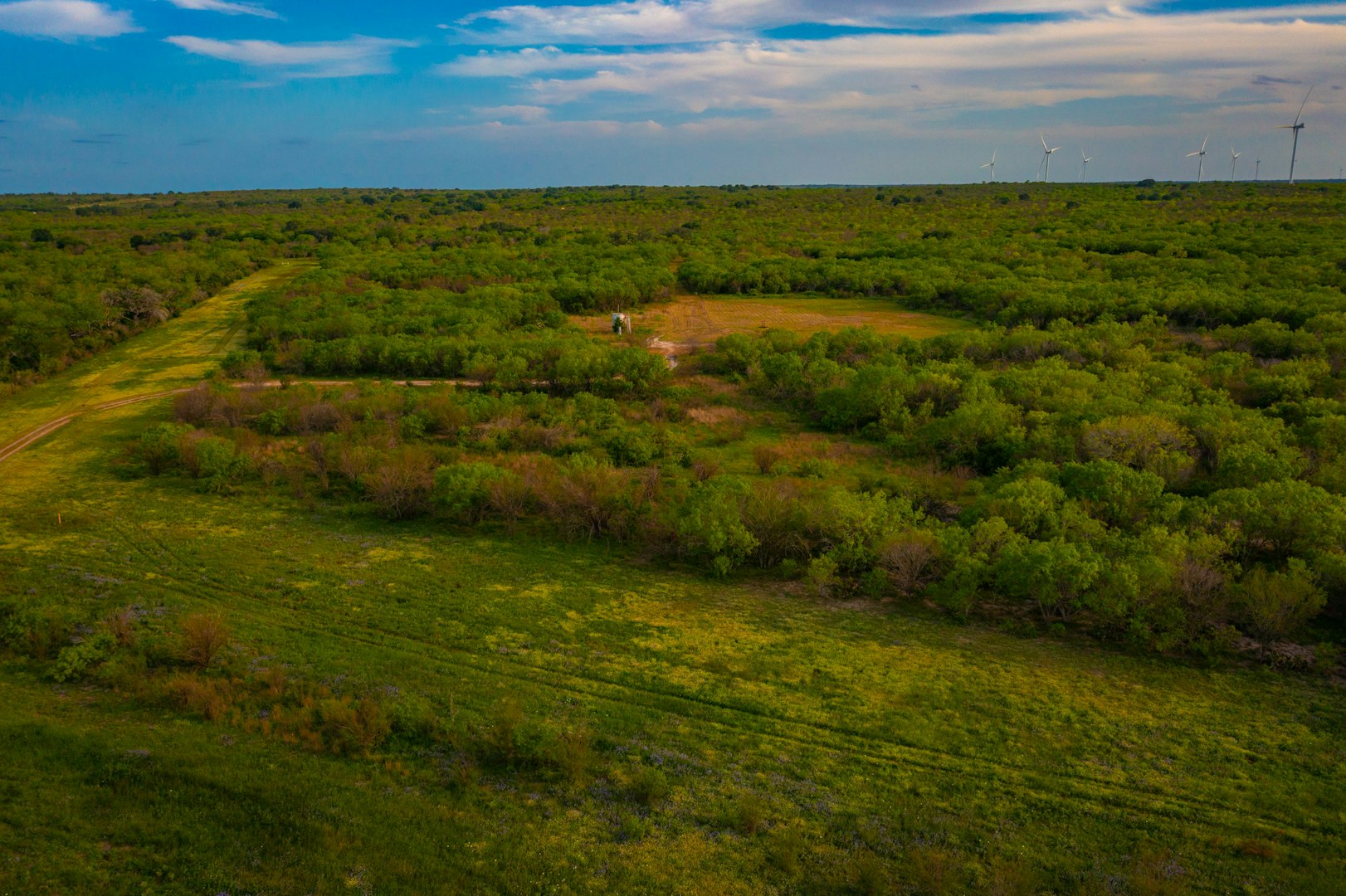 3305 Cr 129 Pawnee TX 78119