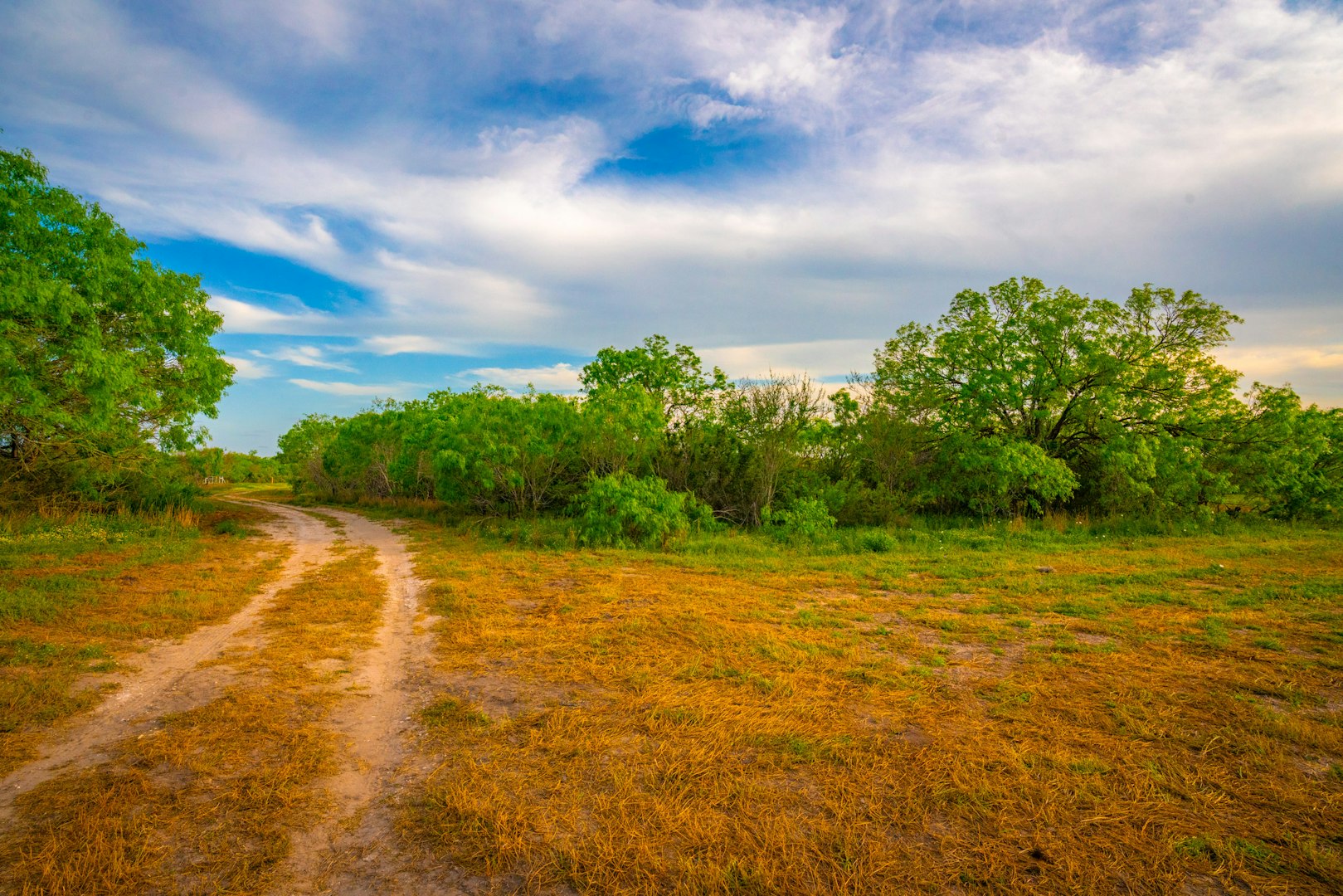 3305 Cr 129 Pawnee TX 78119