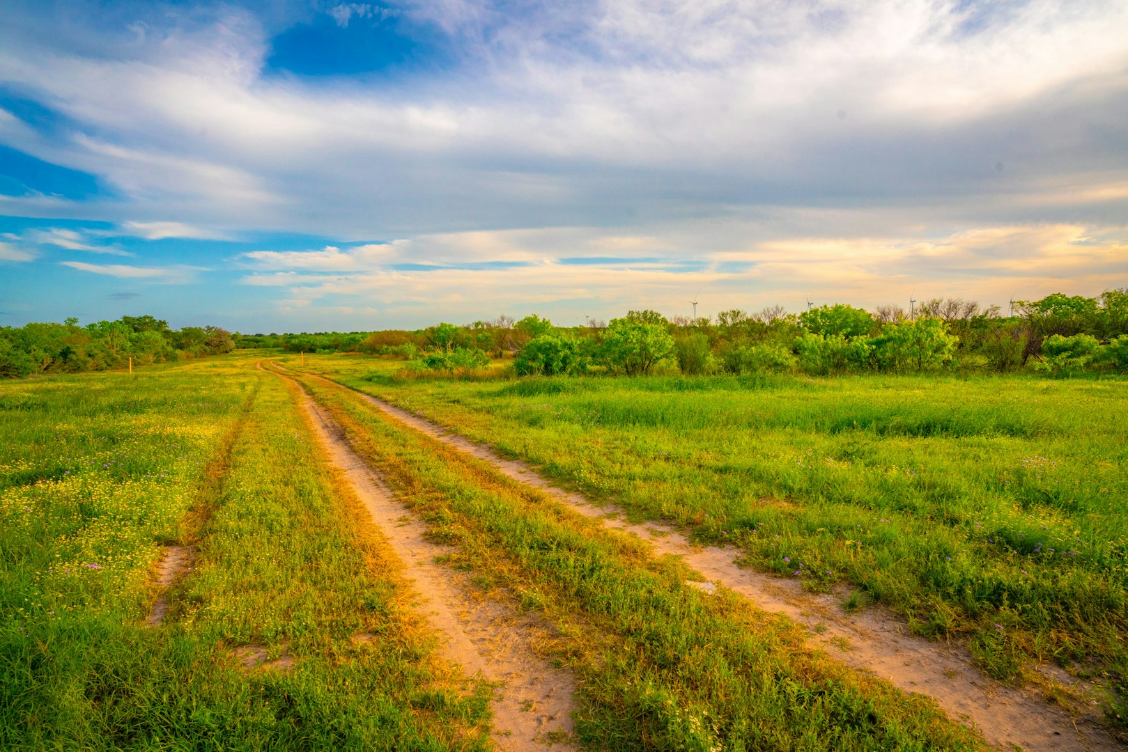 3305 Cr 129 Pawnee TX 78119