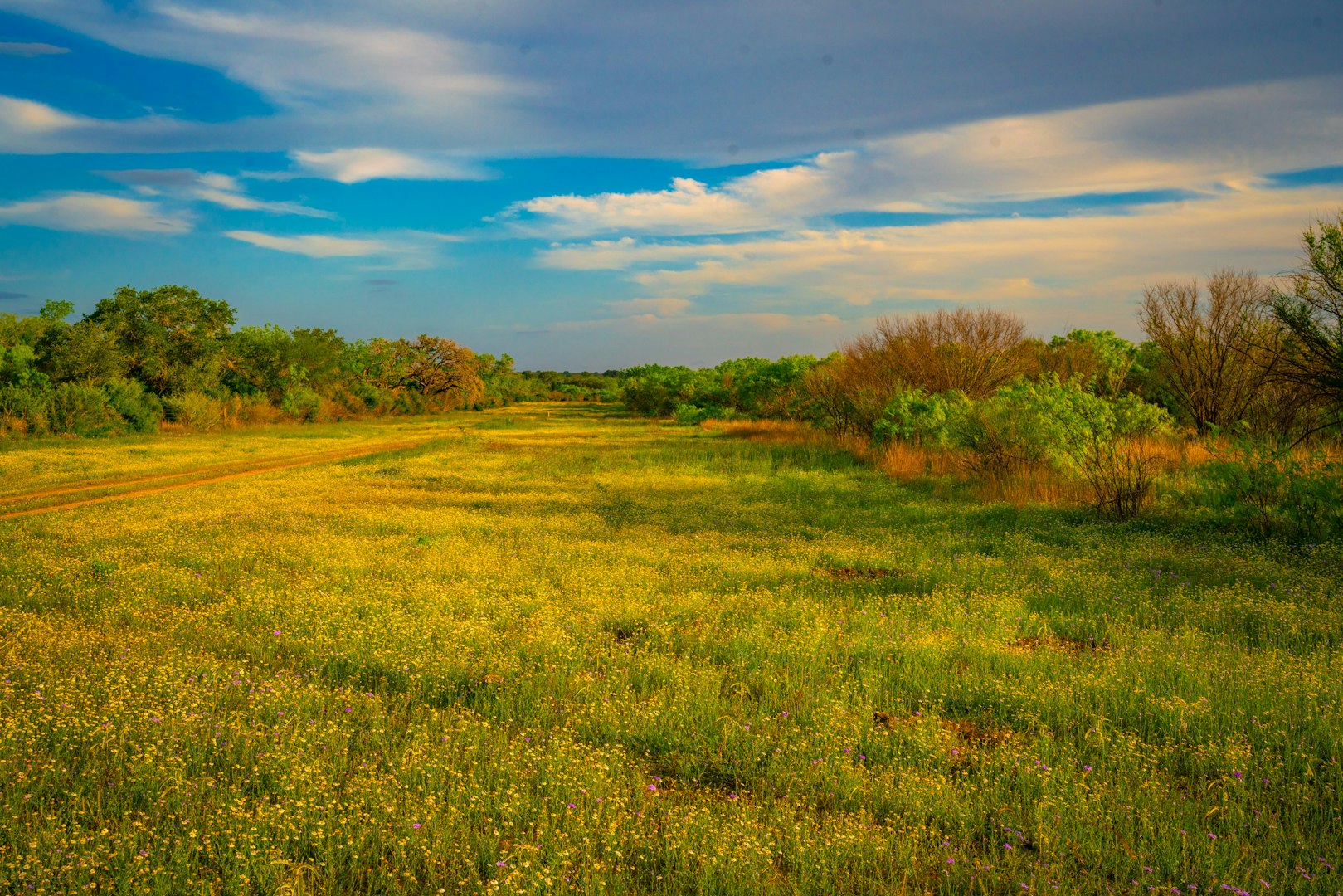 3305 Cr 129 Pawnee TX 78119