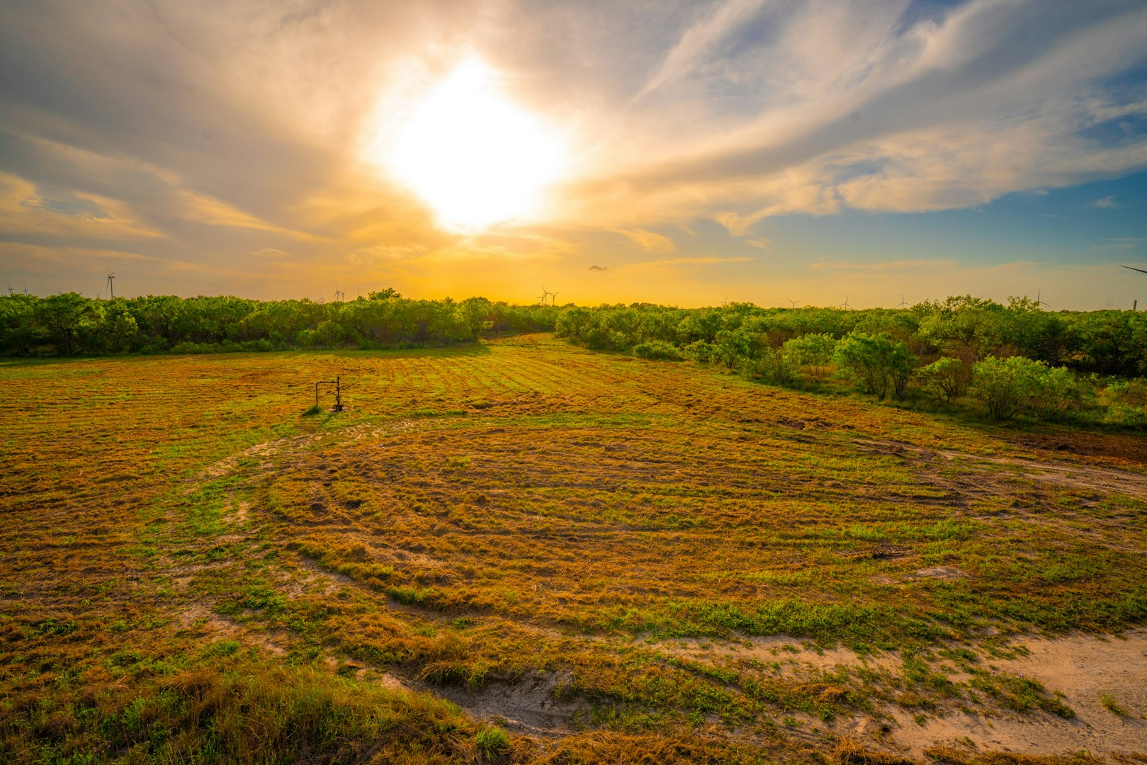 3305 Cr 129 Pawnee TX 78119