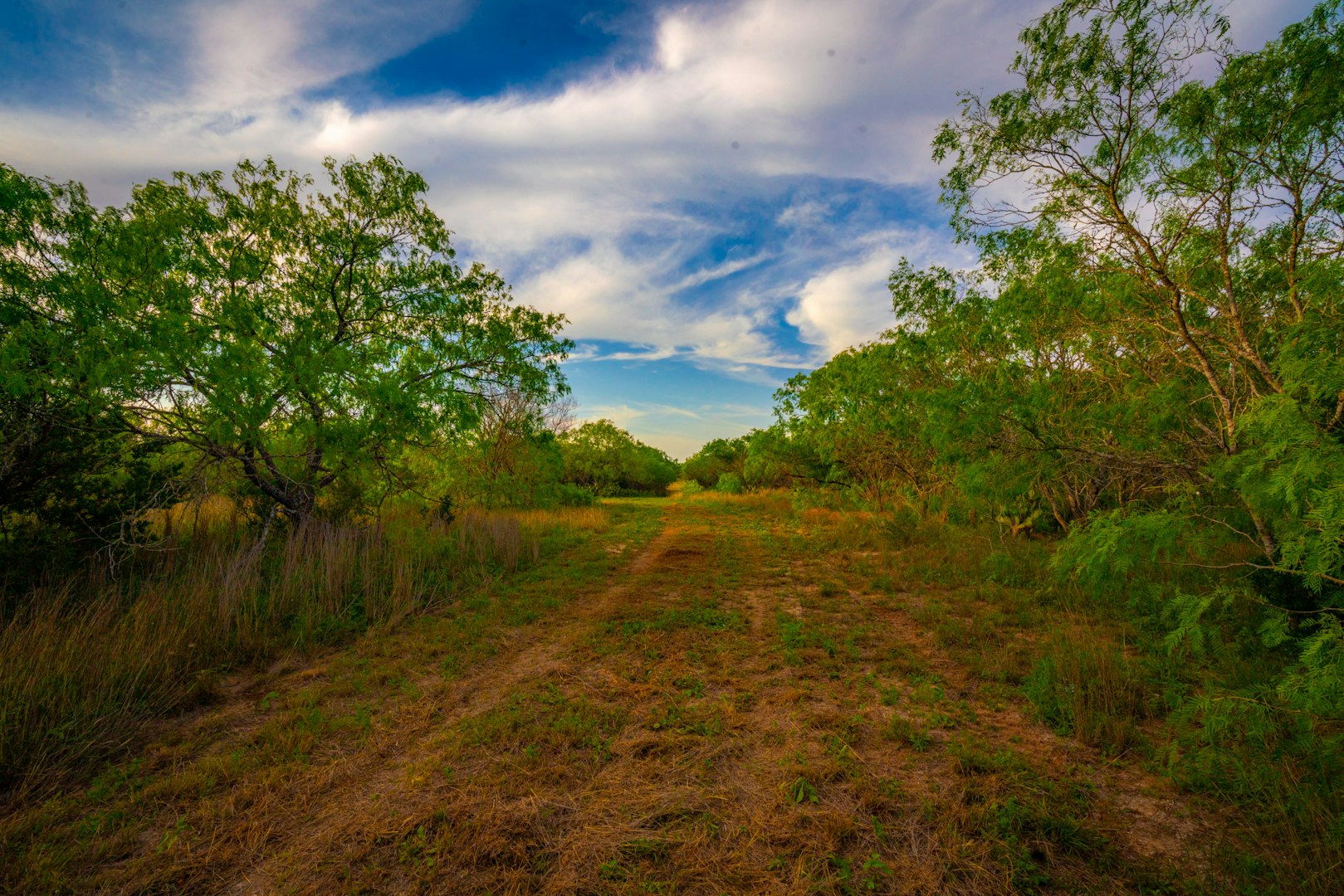 3305 Cr 129 Pawnee TX 78119