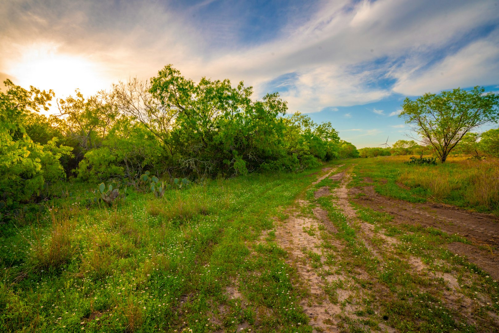 3305 Cr 129 Pawnee TX 78119