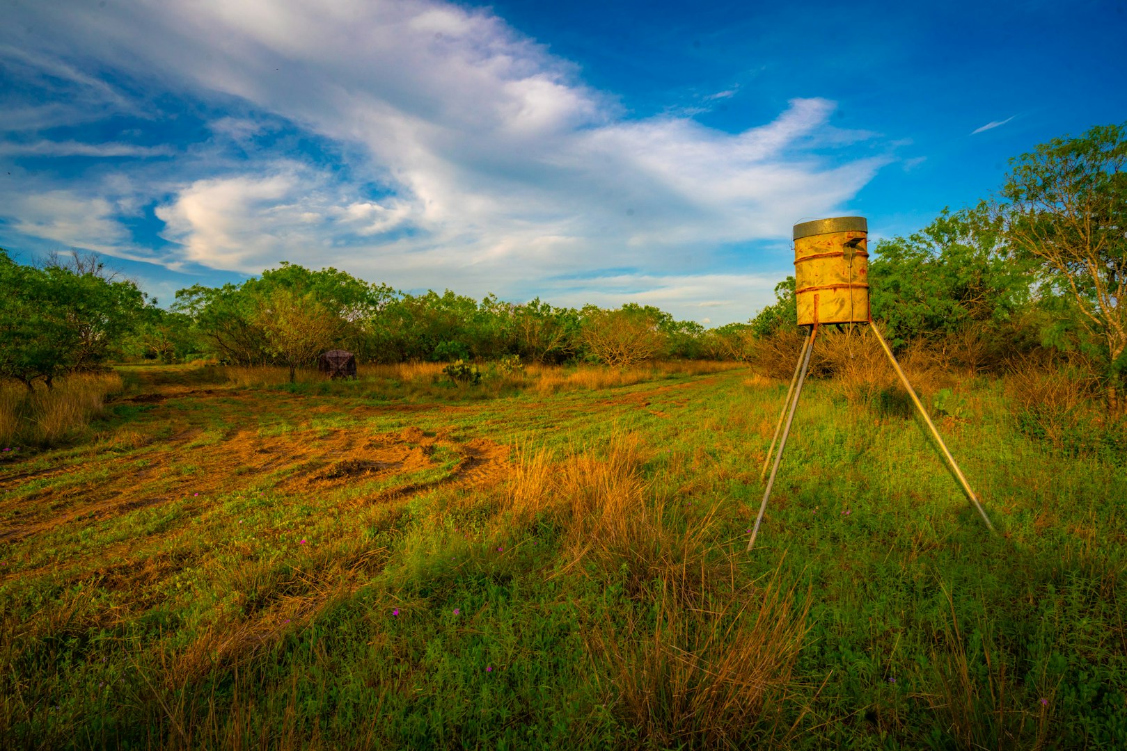 3305 Cr 129 Pawnee TX 78119