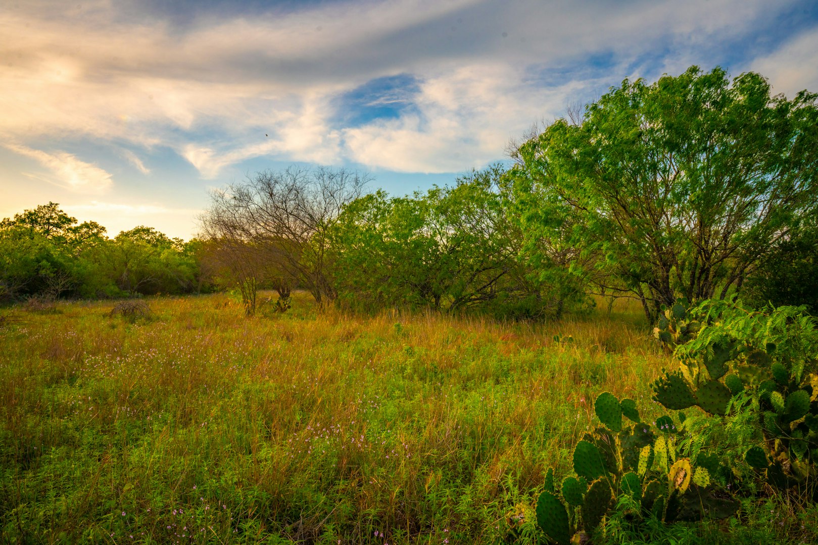 3305 Cr 129 Pawnee TX 78119