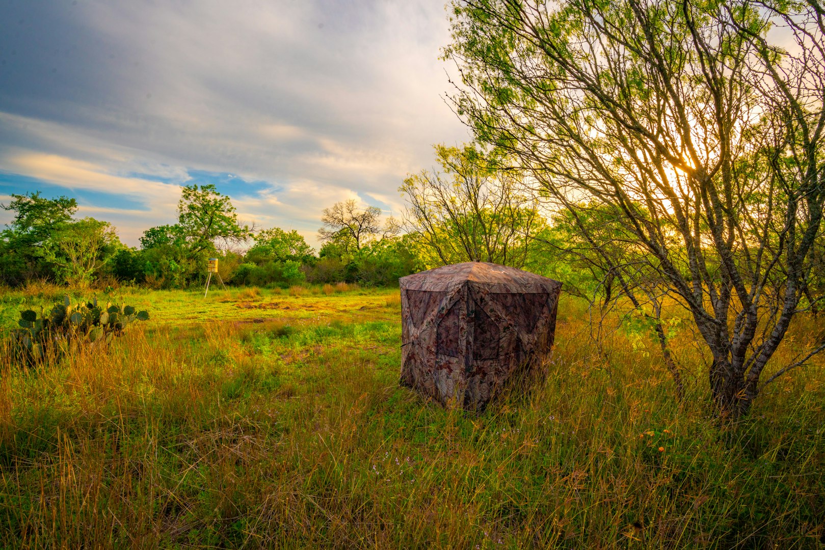 3305 Cr 129 Pawnee TX 78119