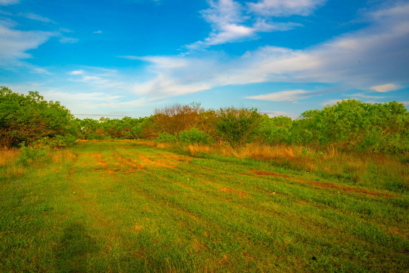 3305 Cr 129 Pawnee TX 78119