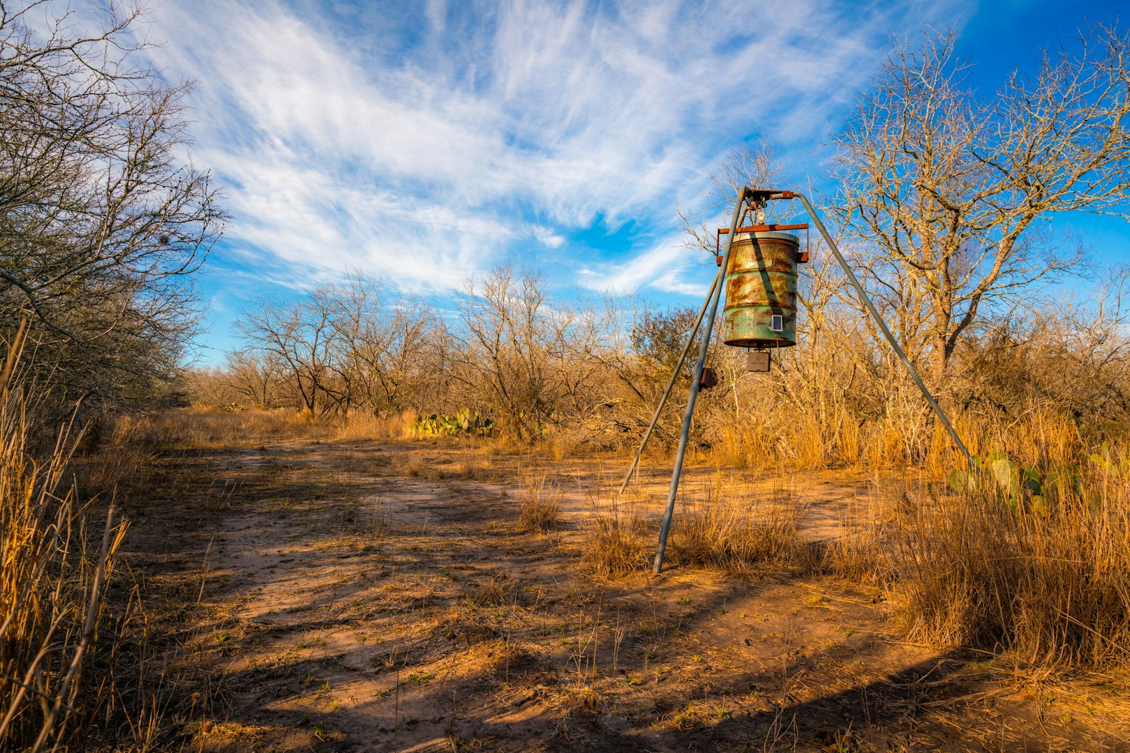 3305 Cr 129 Pawnee TX 78119