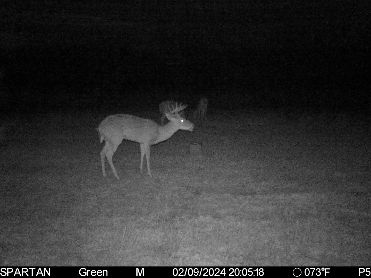 3305 Cr 129 Pawnee TX 78119