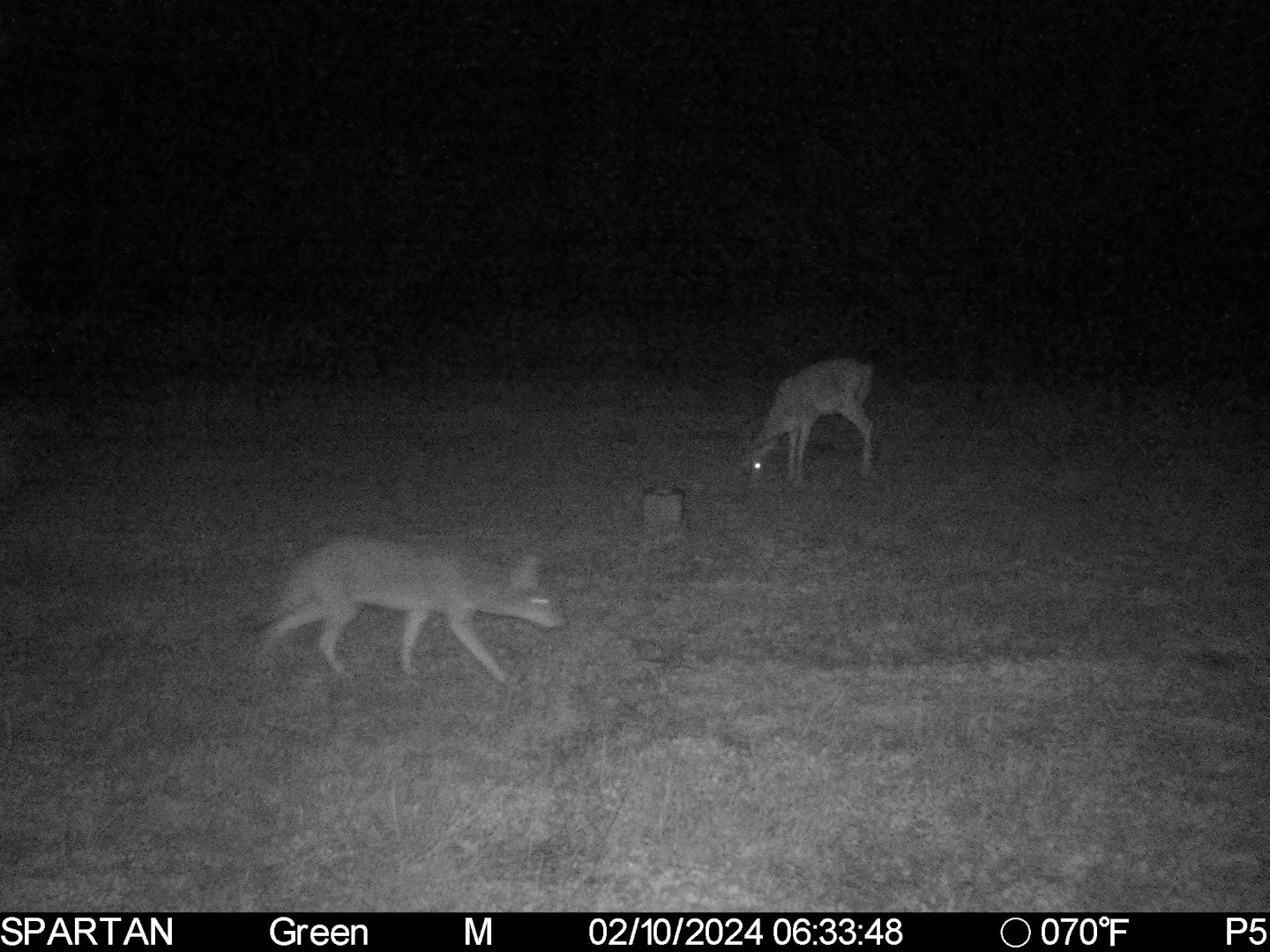 3305 Cr 129 Pawnee TX 78119