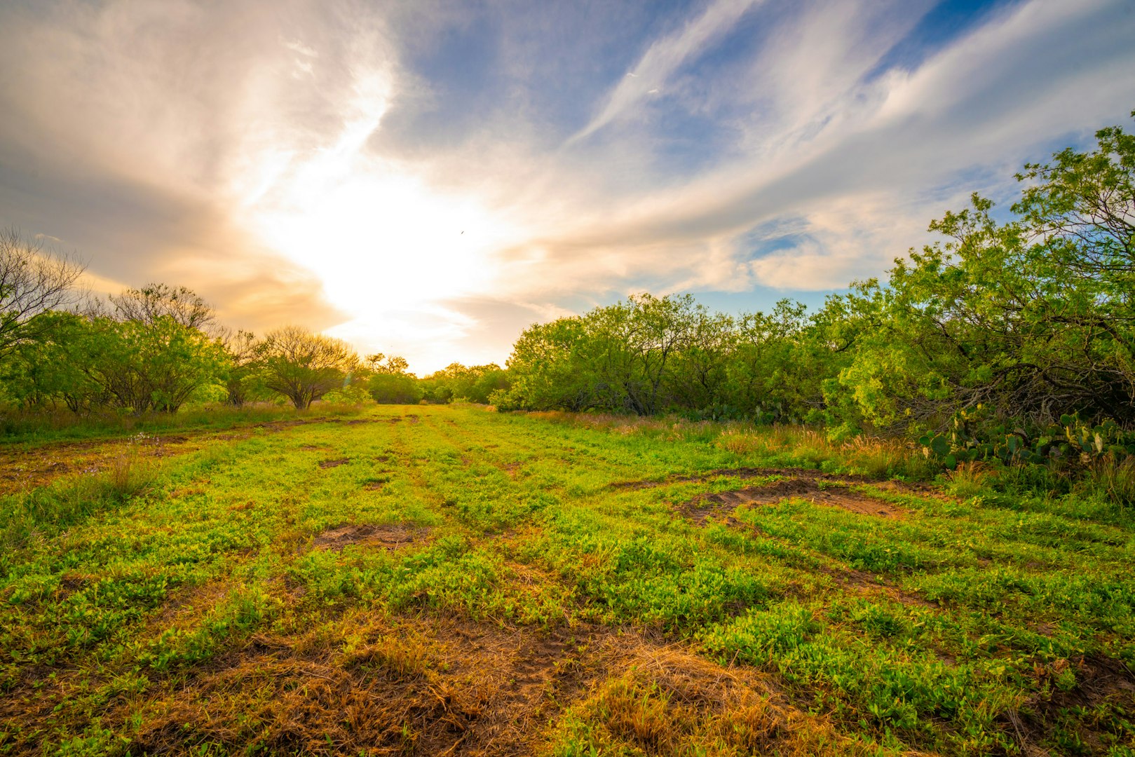 3305 Cr 129 Pawnee TX 78119