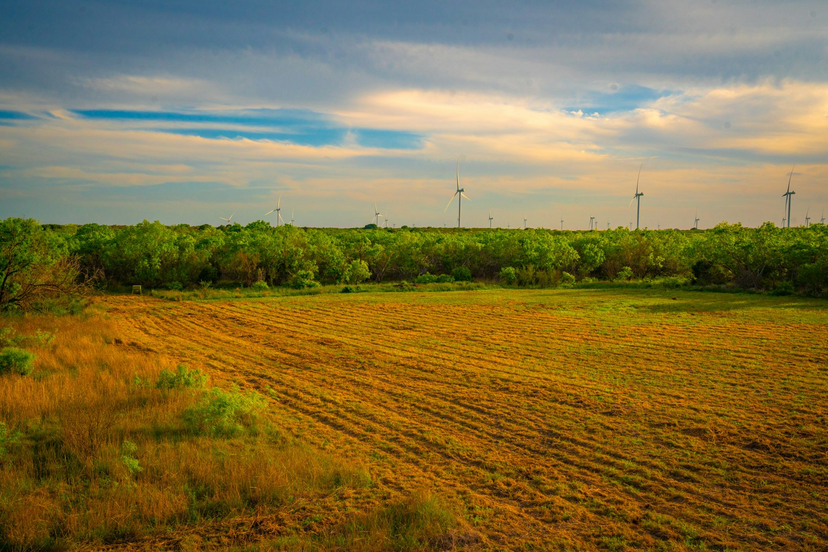 3305 Cr 129 Pawnee TX 78119