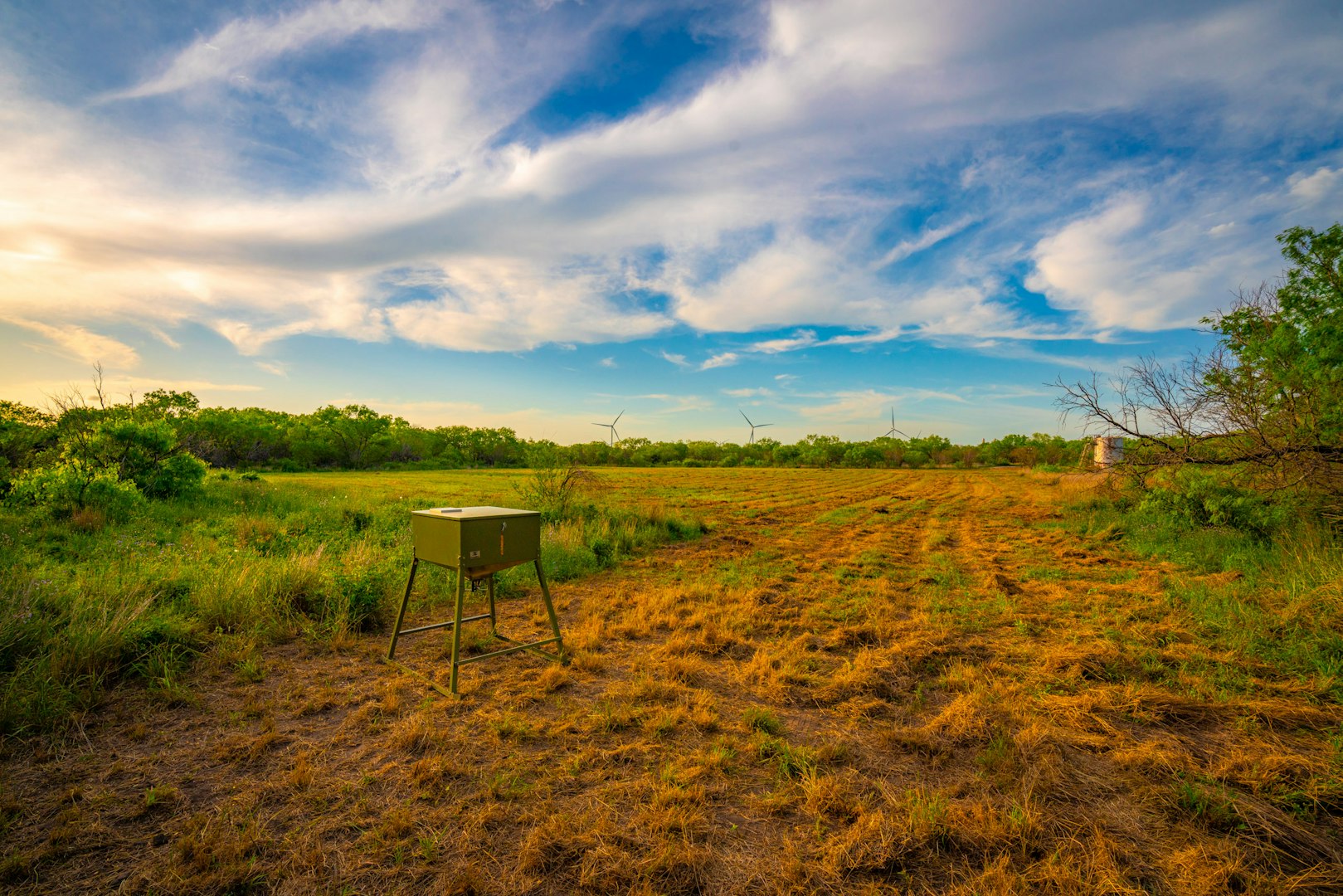 3305 Cr 129 Pawnee TX 78119