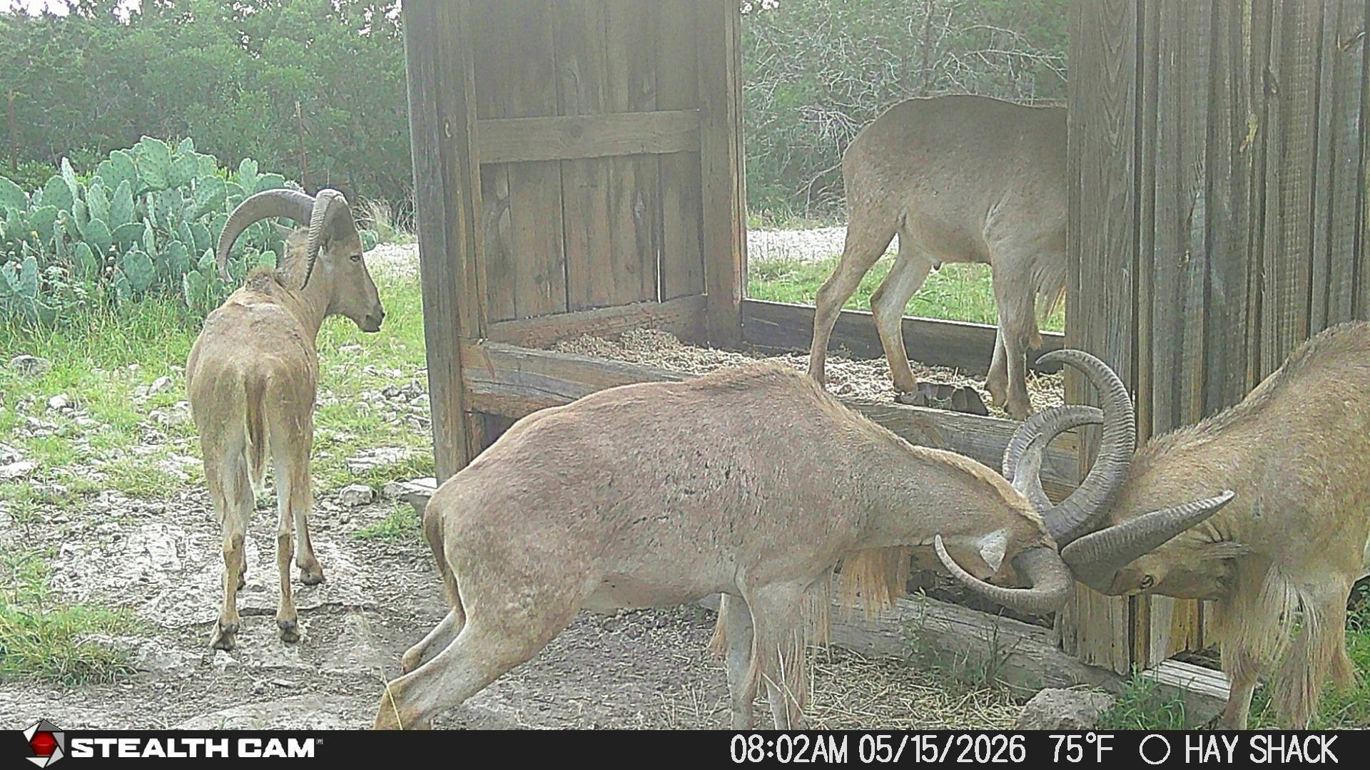 1457 Private Road 3426 Barksdale TX 78828