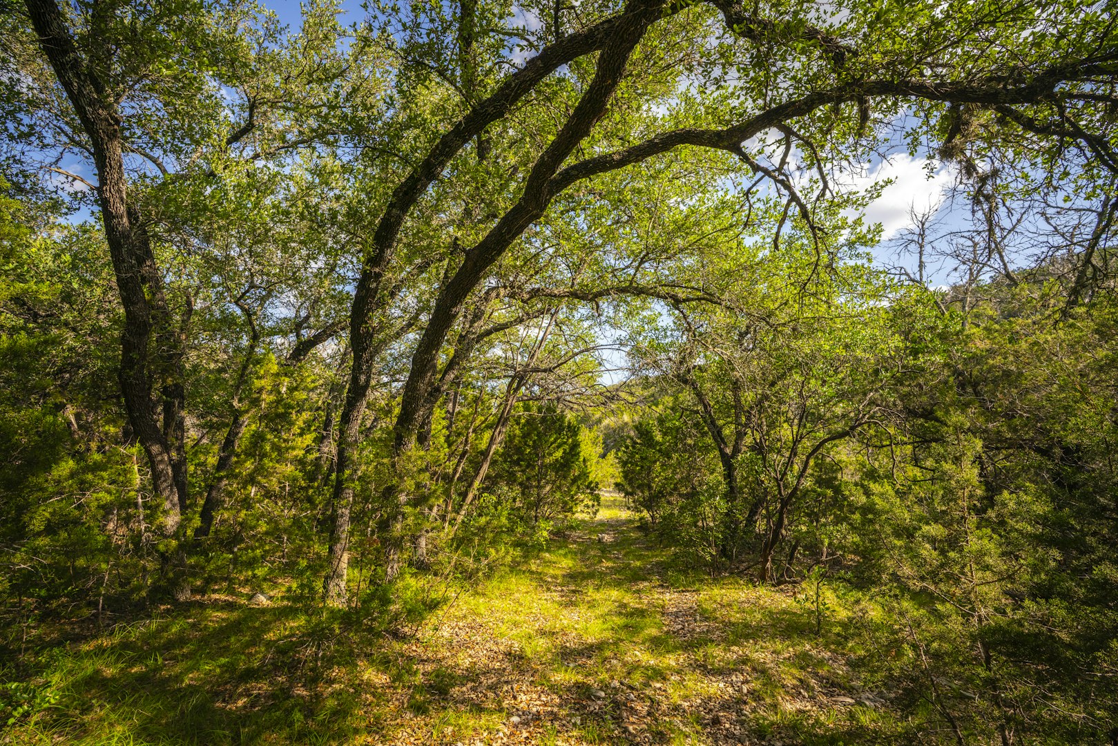 1457 Private Road 3426 Barksdale TX 78828