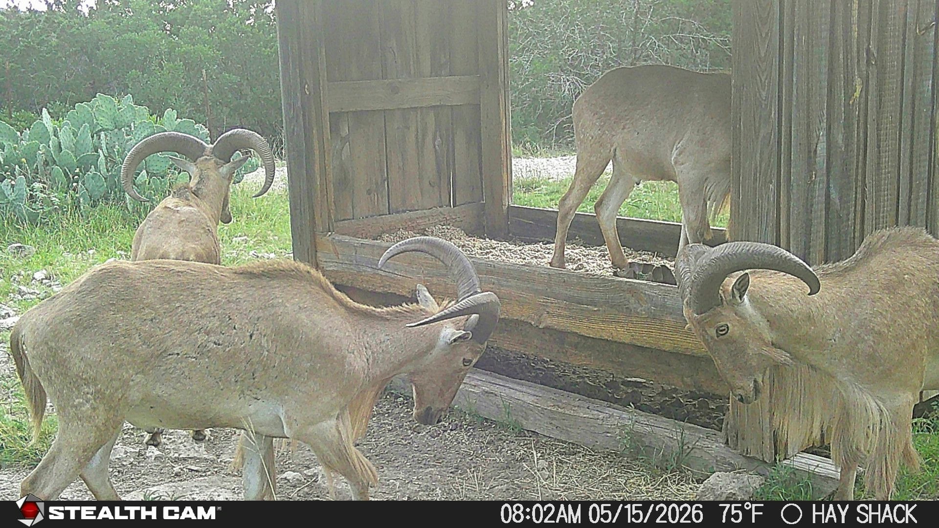 1457 Private Road 3426 Barksdale TX 78828