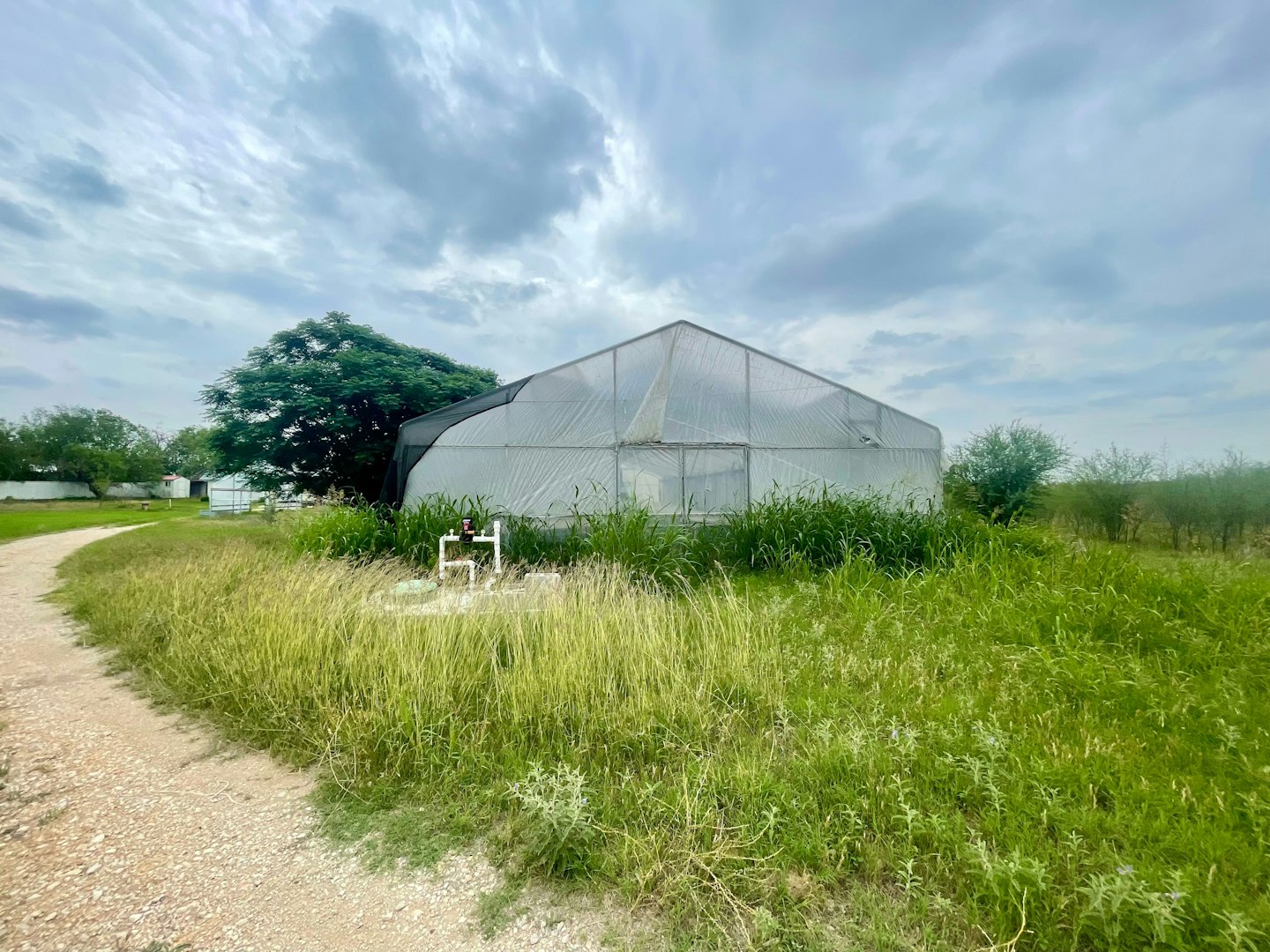 2230 Weil Road Marion TX 78124