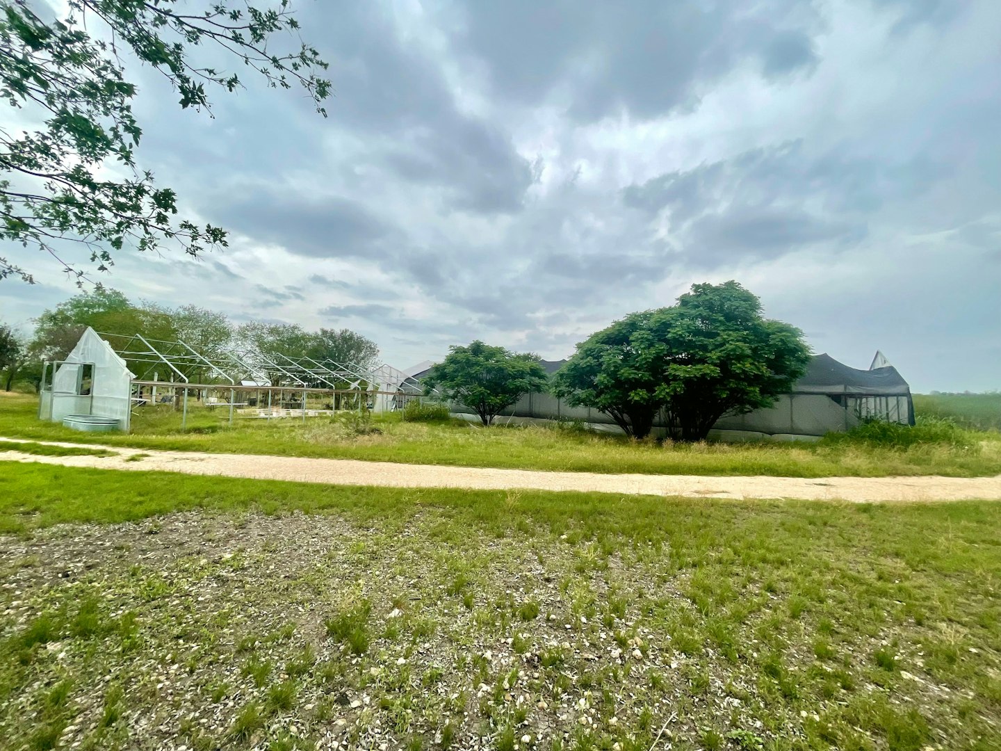 2230 Weil Road Marion TX 78124