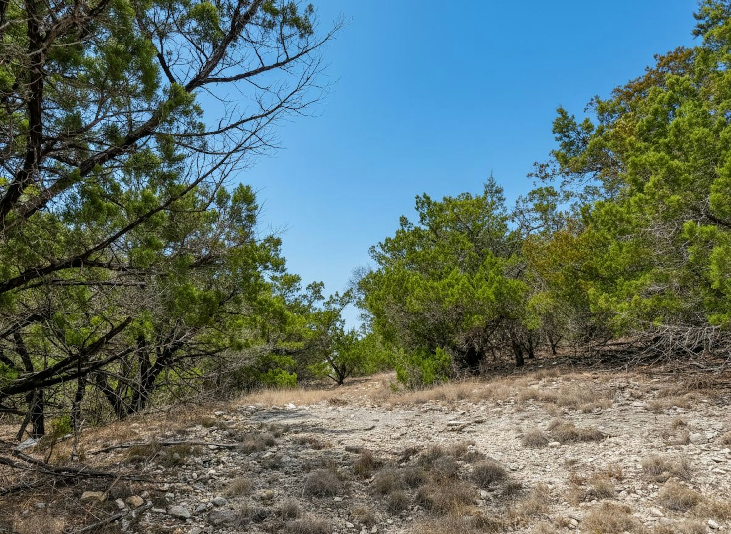 898 Mountain View Lane Pipe Creek TX 78063