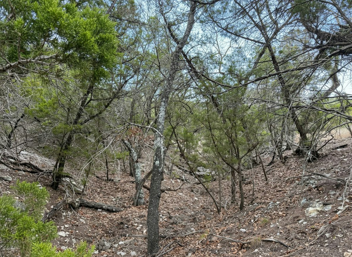 898 Mountain View Lane Pipe Creek TX 78063