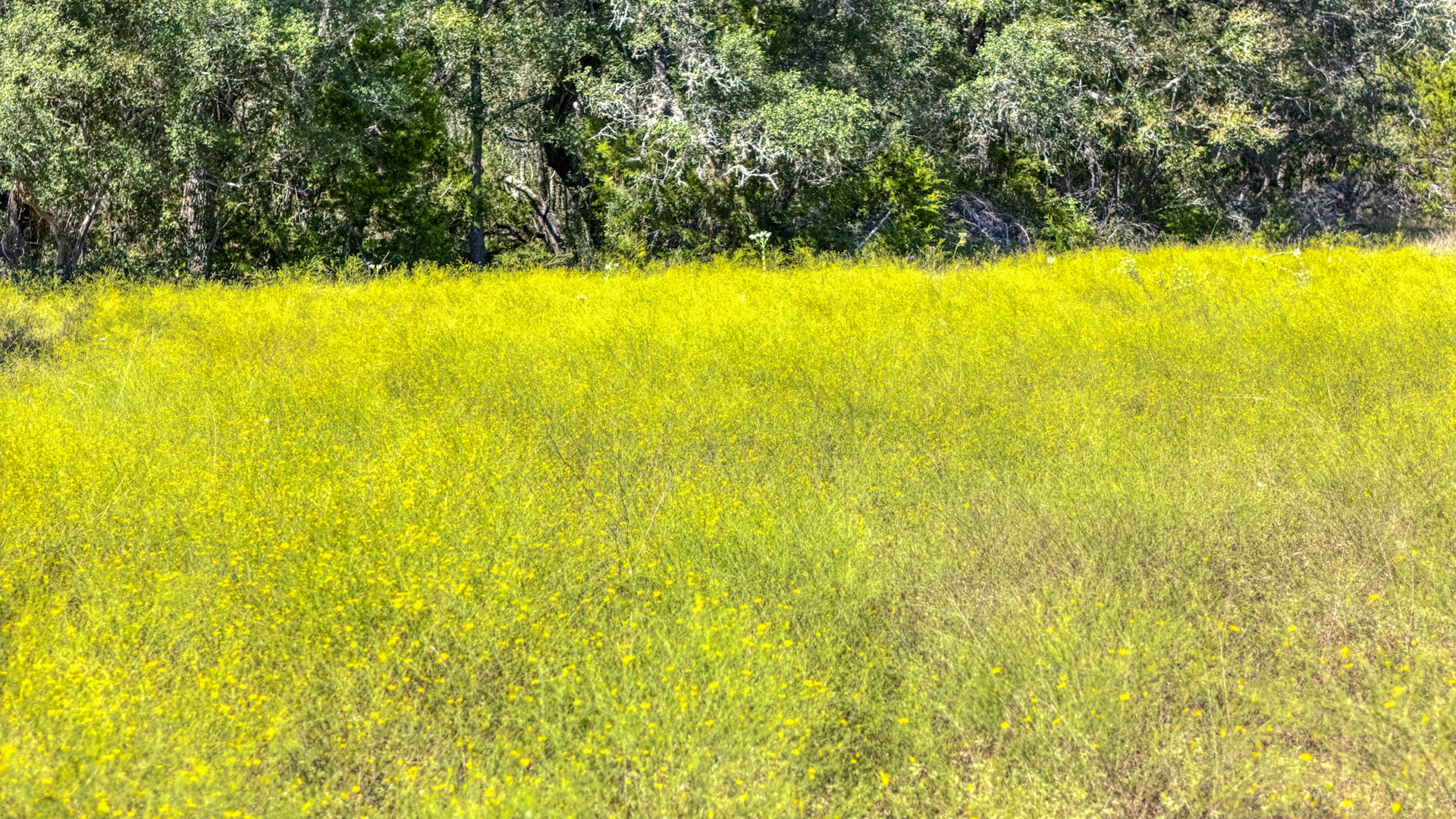 0000 Tbd Gallagher Ranch On Park Road 37 Helotes TX 78023